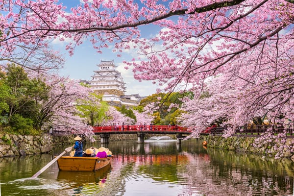 Die Burg von Himeji im Frühling.