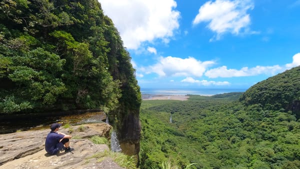 Ein Naturparadies: Die Insel Iriomote.