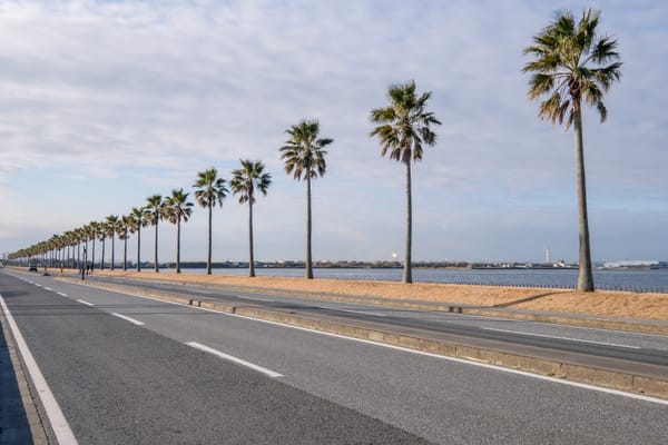 Die Palmen-Strasse von Sodegaura in der Präfektur Chiba.