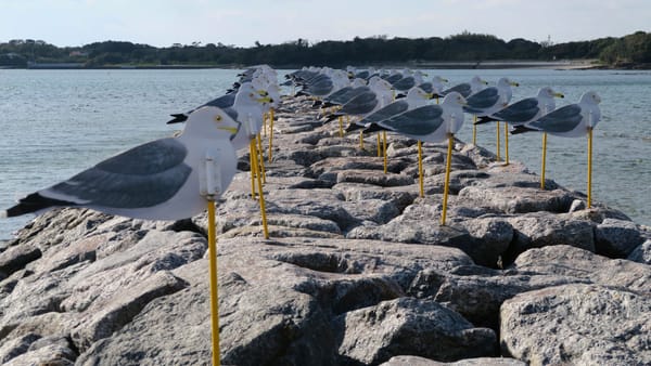 Die Möweninstallation ist ein Wahrzeichen der windigen Insel Sakushima.