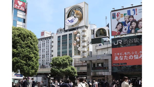 Ein 3D-Akita-Hund auf den Dächern von Shibuya