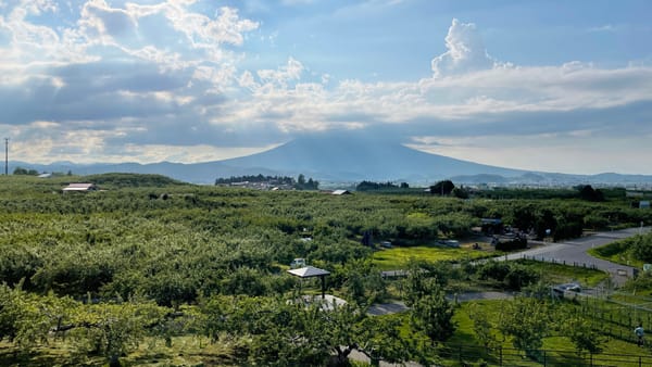 1300 Apfelbäume, 65 Sorten: Der Hirosaki City Apple Park mit dem Berg Iwaki im Hintergrund.