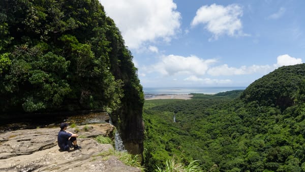 Der Regenwald dominiert die Landschaft von Iriomote.