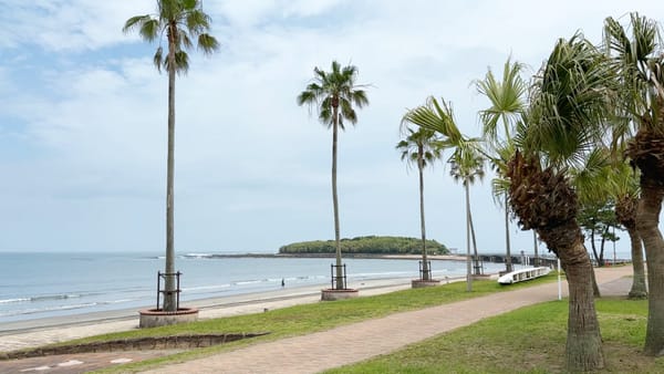 Palmen und die Insel Aoshima dahinter.