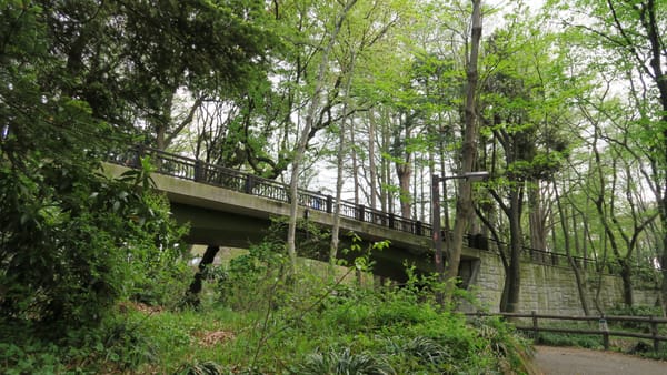 Ein Hauch von Central Park in Tokio.