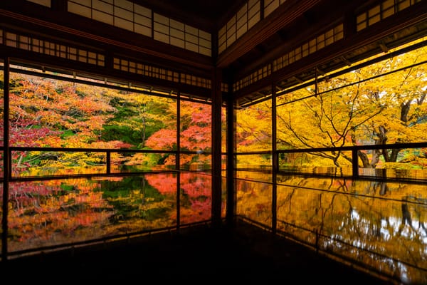 Bald beginnt die Jahreszeit der Farben: Der Rurikōin-Tempel im herbstlichen Kyoto.