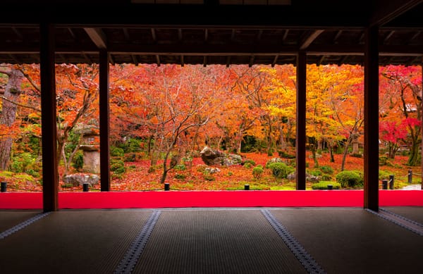 Die Herbstfarben im Tempel Enkō-ji in Kyoto.