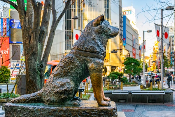 Die berühmte Hachiko-Statue vor dem Tokioter Bahnhof Shibuya.