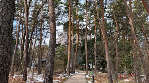 Die Brennerei von Hakushu befindet sich in einem Wald.