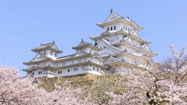 Die Burg von Himeji während der Kirschblütenzeit.