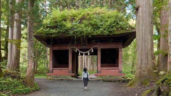 Das Erbe der fliegenden Felsentür